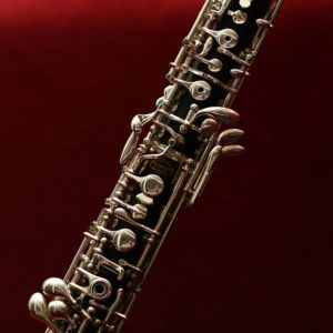Alexander-Technique-Albuquerque-NM-Oboe