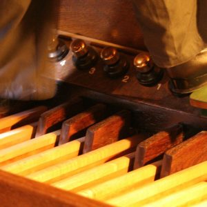 Alexander-Technique-Albuquerque-NM-organ
